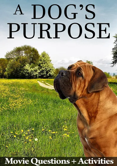 A Dog's Purpose (2017)